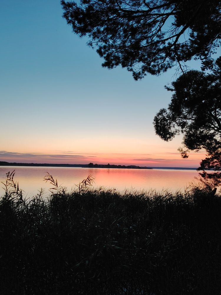 Фотография автора Мария