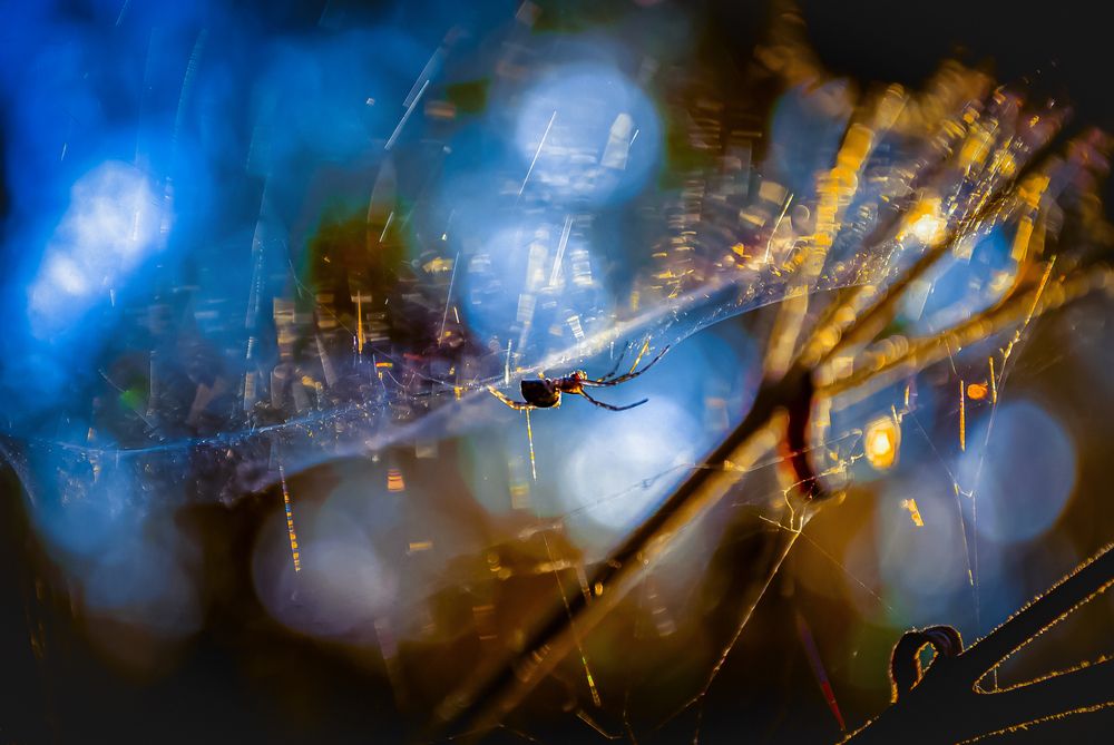 Photograph by Любовь Бусова