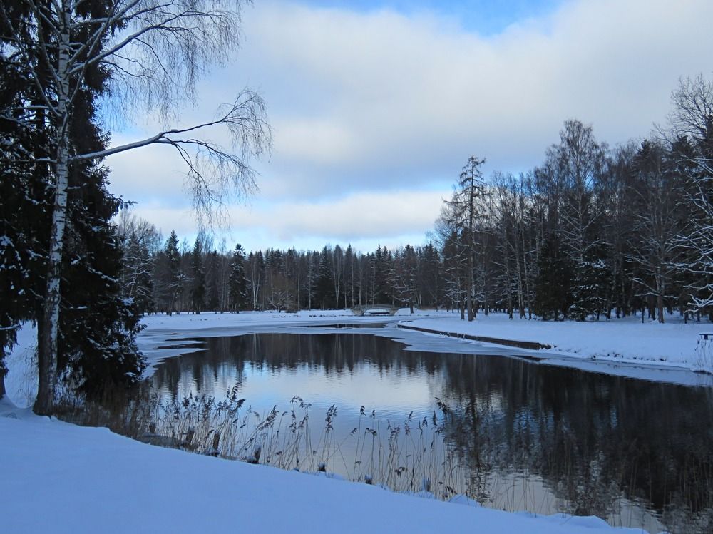 Photograph by Галина Пименова