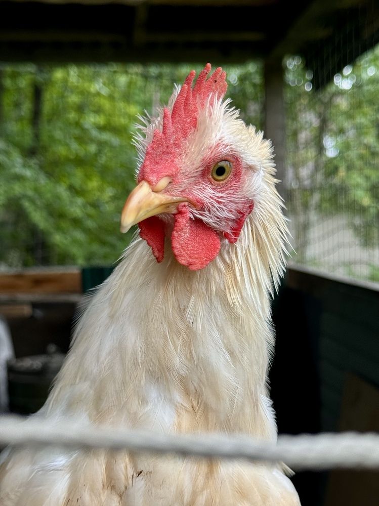 Photograph by Любовь Космачева