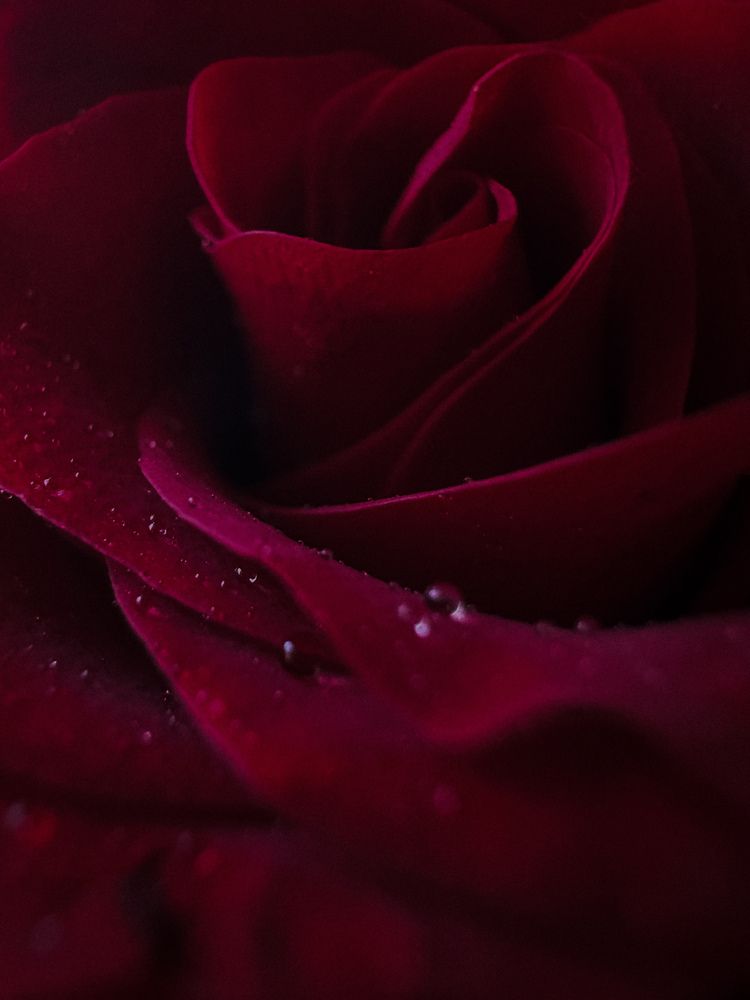 Photograph by Наталья Швед