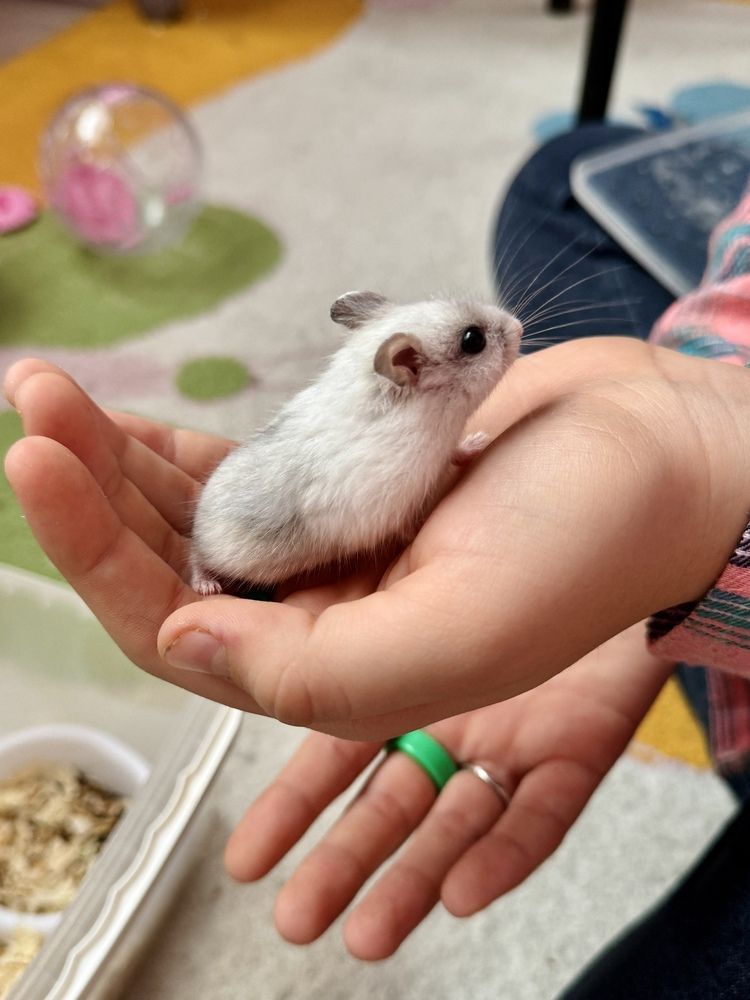 Photograph by Любовь Космачева