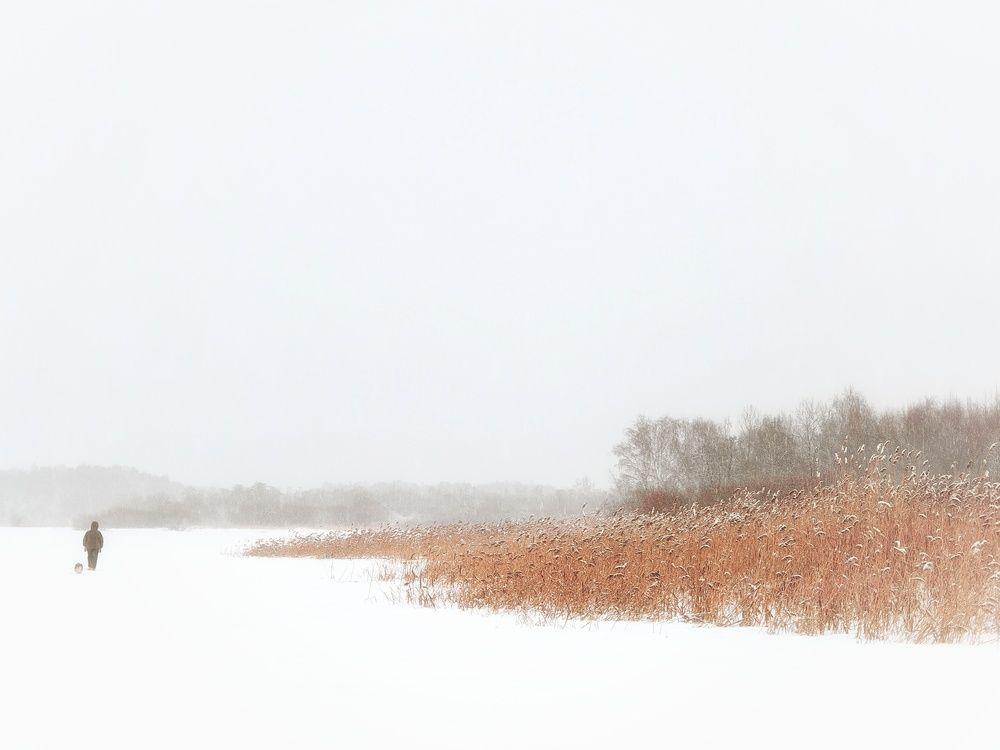 Photograph by Инна Мухина