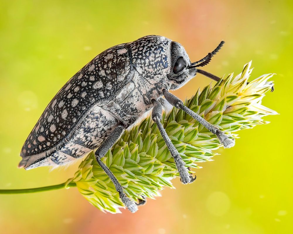 Photograph by Abolfazl Arab