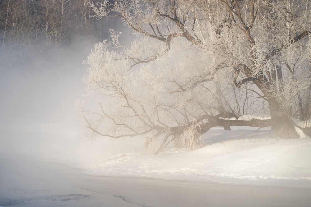 Photograph by Boris Nesh