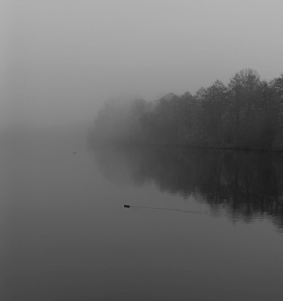 Фотография автора Михаил Бурминский