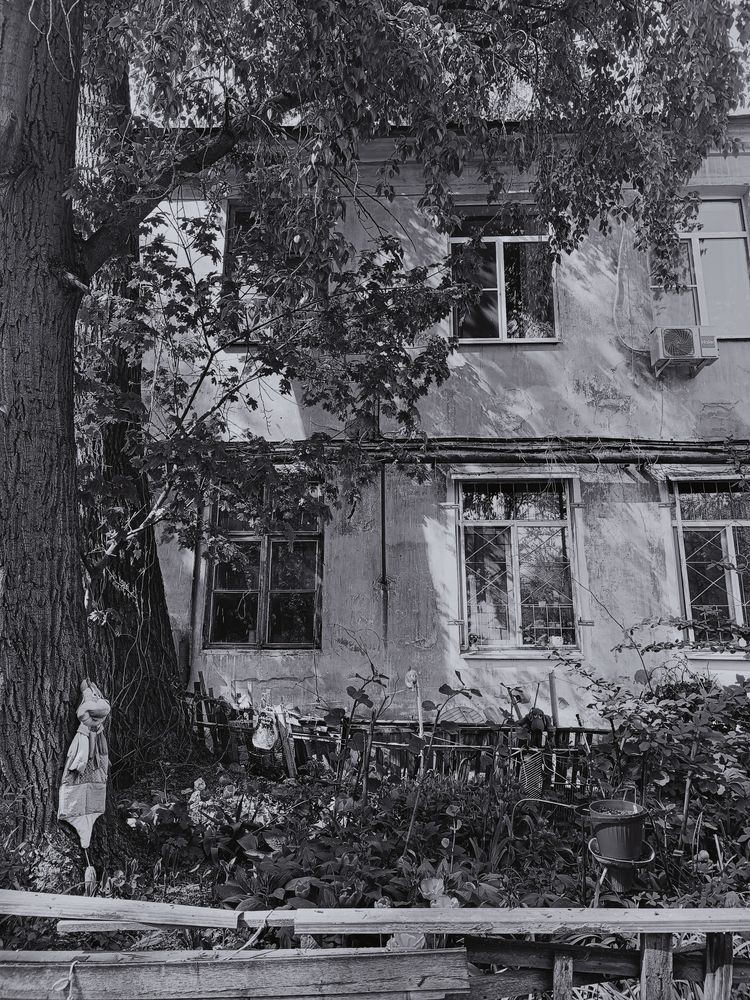 Photograph by Мария Негреева