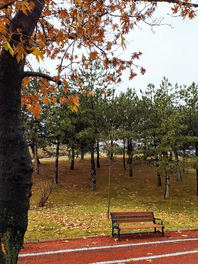 Фотография автора Wahib Ul Malik