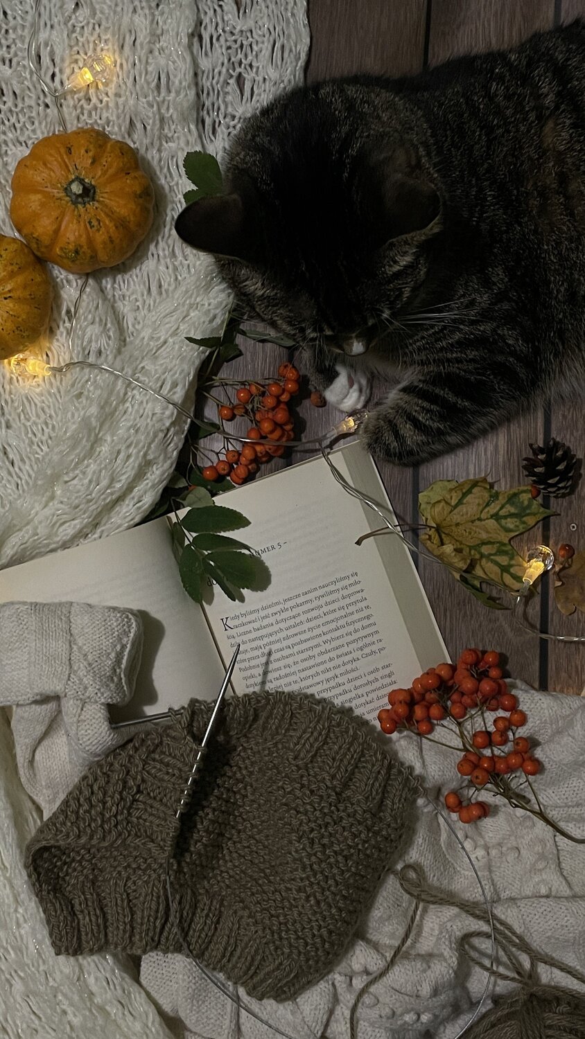 Photo #11925455