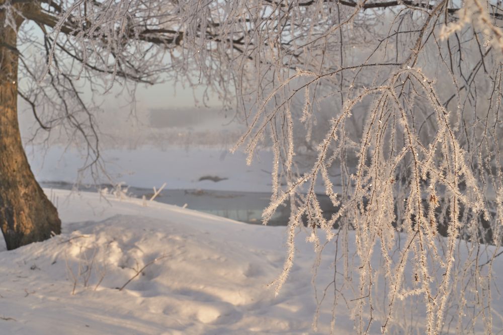 Photograph by Boris Nesh