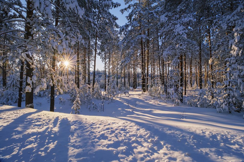 Photograph by Елена Ворошина