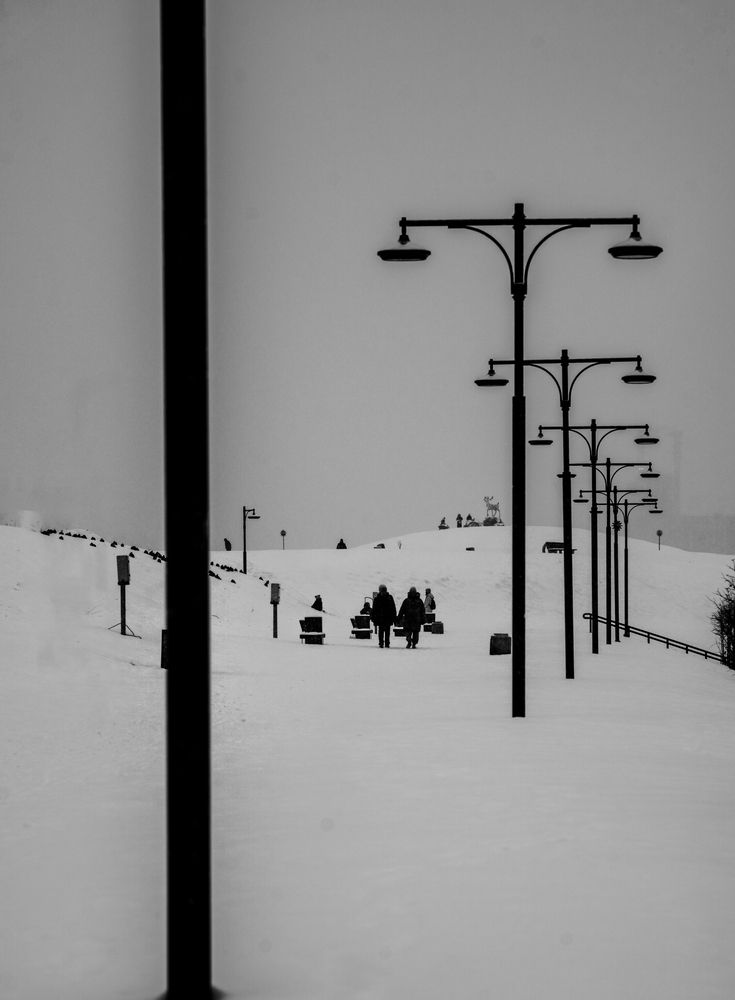 Photograph by Евгений Конов