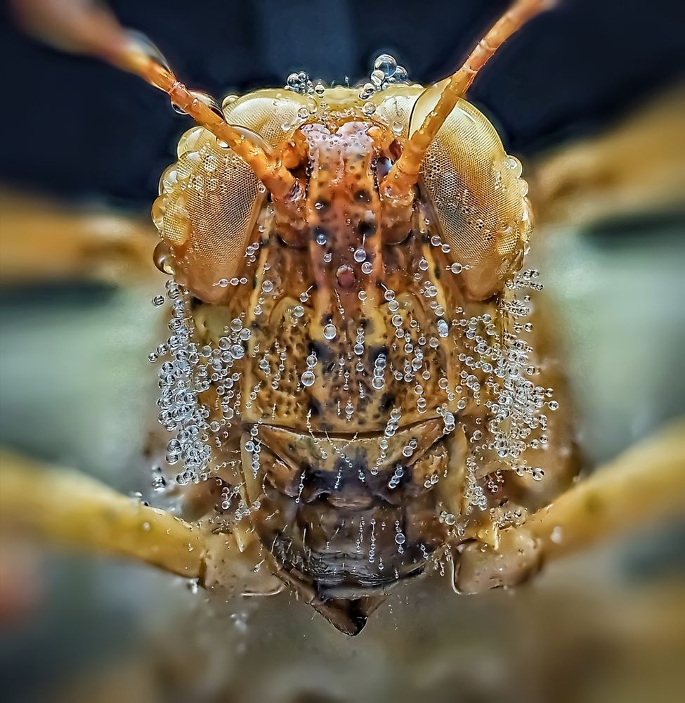 Photograph by Савчук Анатолий