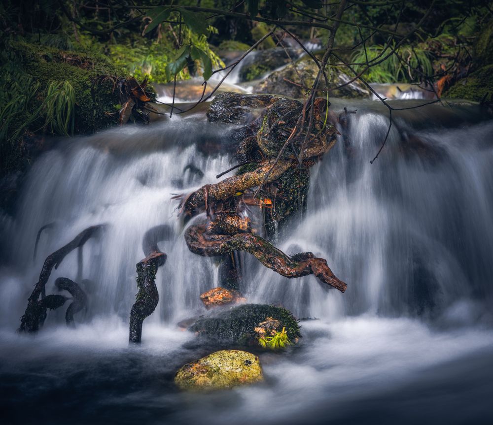 Photograph by Crusat Francisco