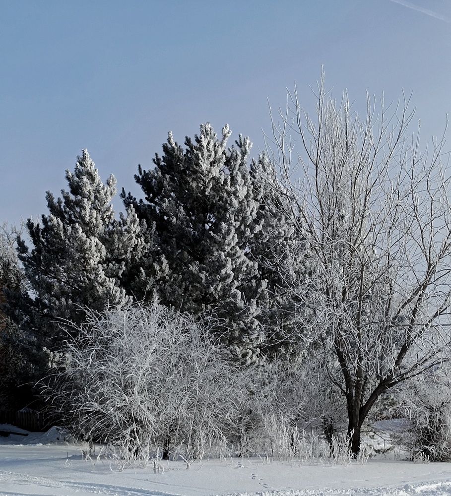 Photograph by Дамир Батряков