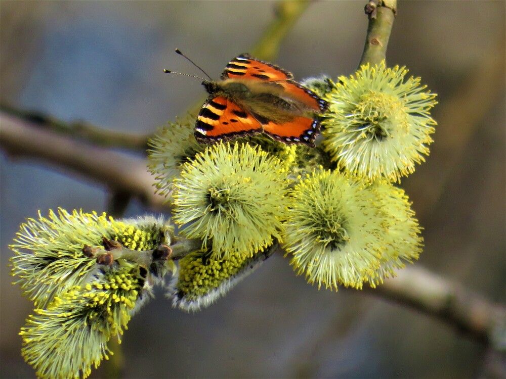Photograph by Людмила Кононова