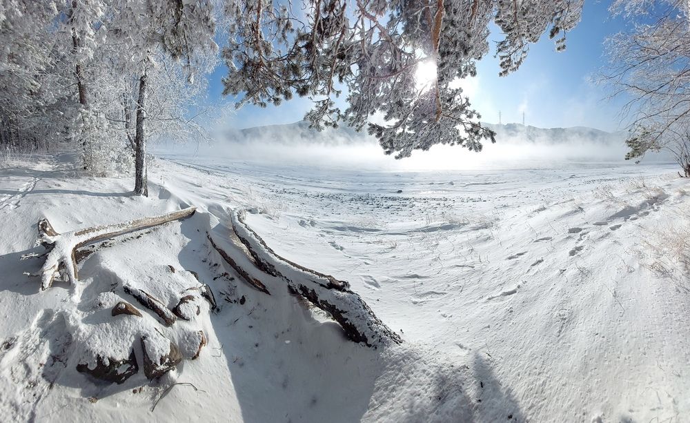 Photograph by Фомина Марина