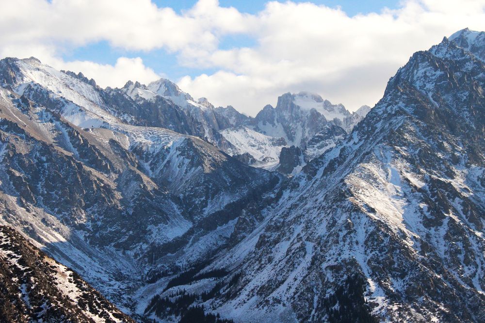 Фотография автора Олеся Лукьяненко