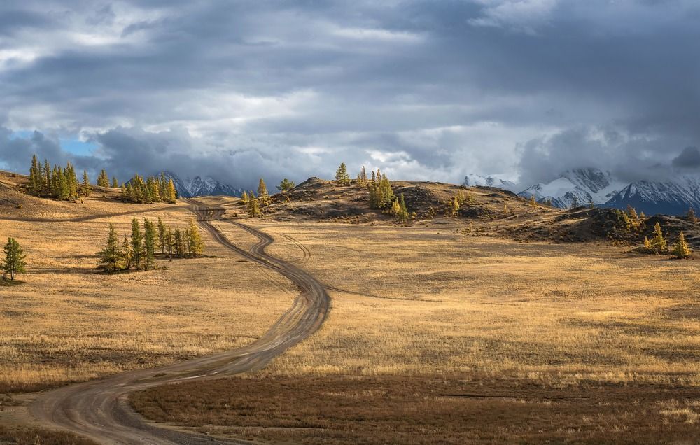 Photograph by Фомина Марина