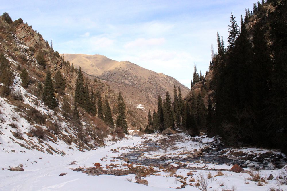 Фотография автора Олеся Лукьяненко