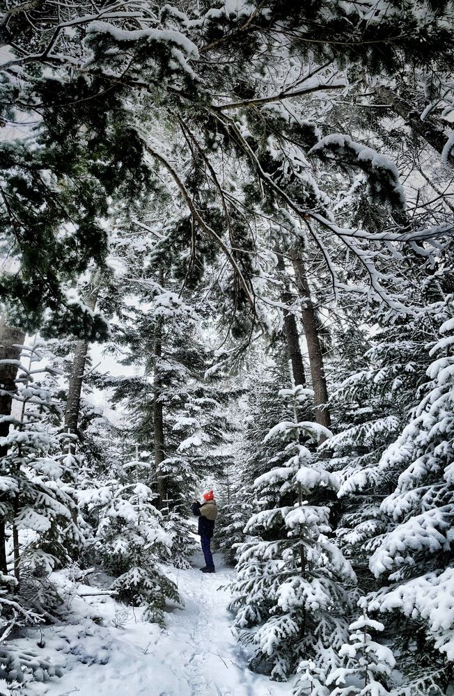 Photograph by Ekaterina Yacina