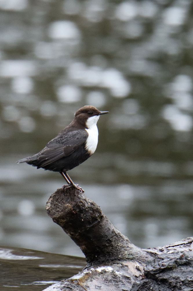 Photograph by Evgenia Korchagova