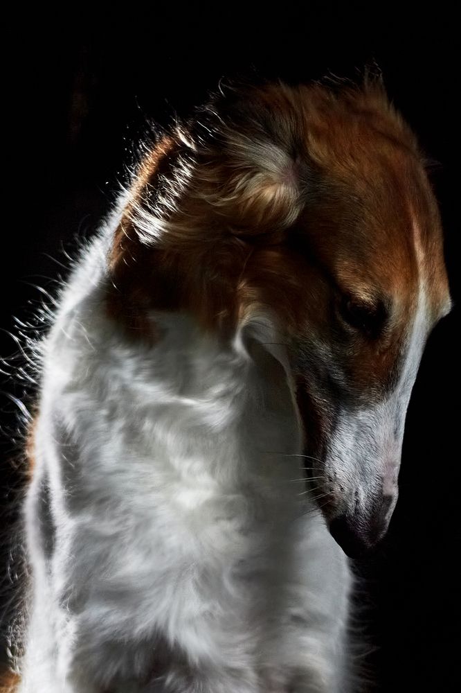 Photograph by Natalya Gracheva