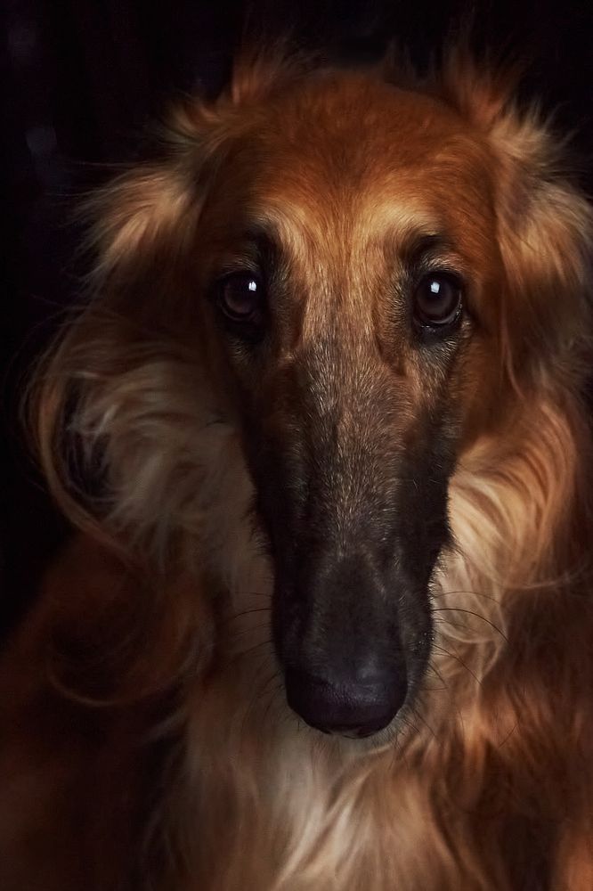 Photograph by Natalya Gracheva