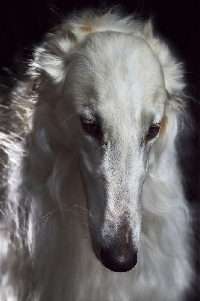 Photograph by Natalya Gracheva