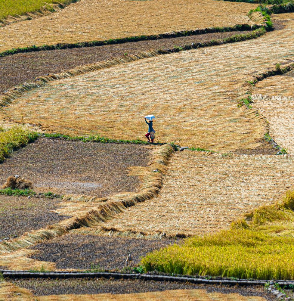 Фотография автора digvijay singh janoti