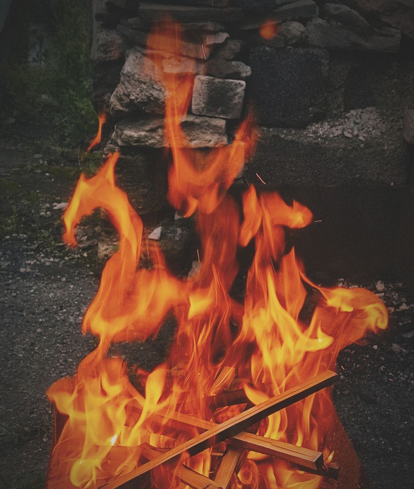 Photograph by Александра