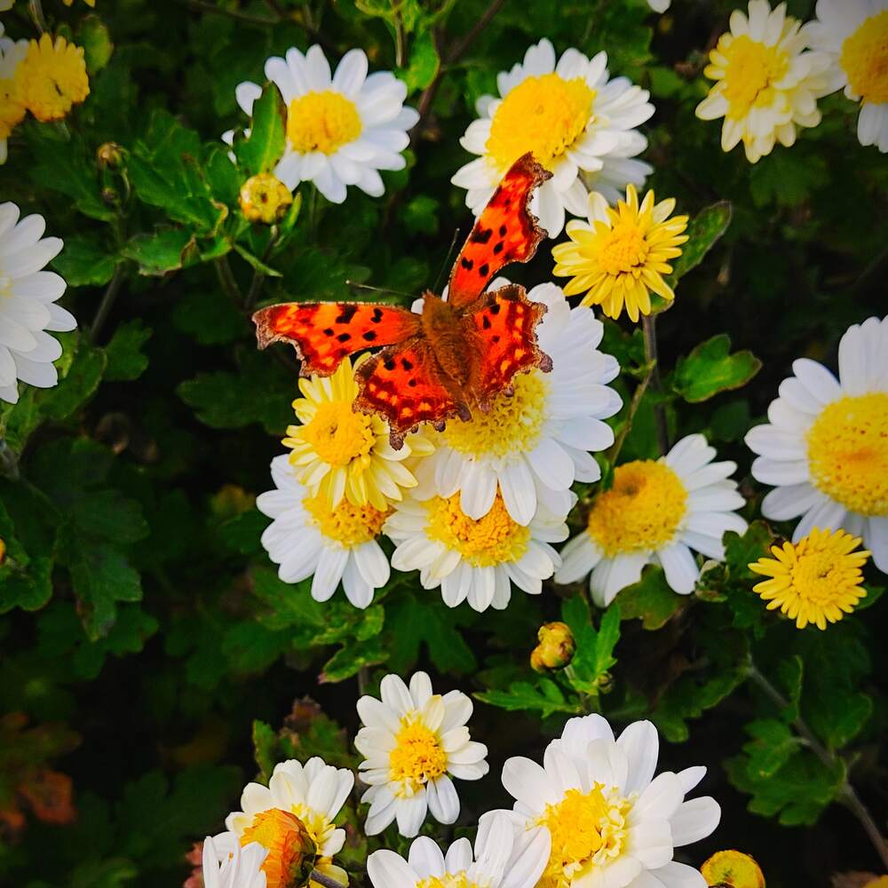 Photograph by Александра