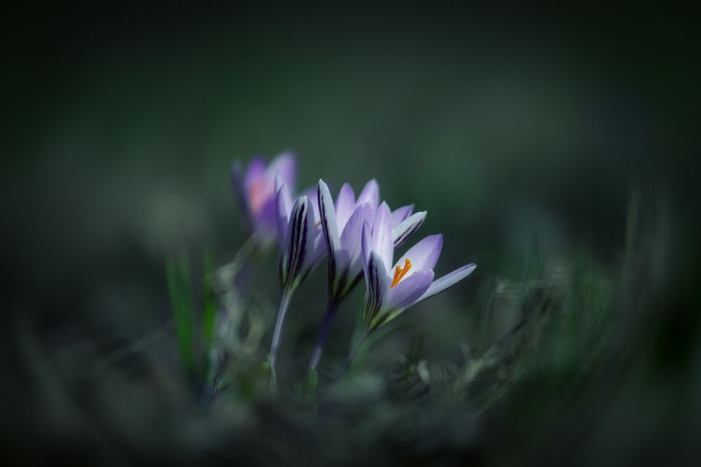 Photograph by Алексей Юденков