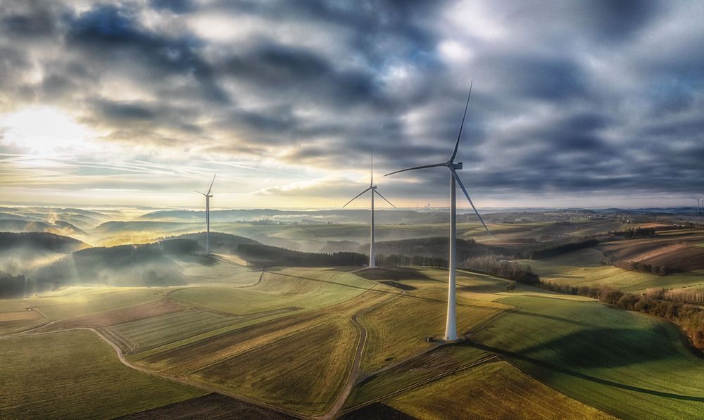 Photograph by Guy Krier