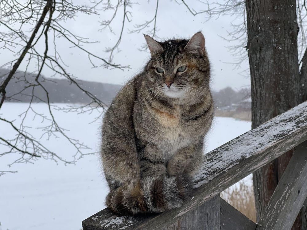 Photograph by Sodomelle Flavian