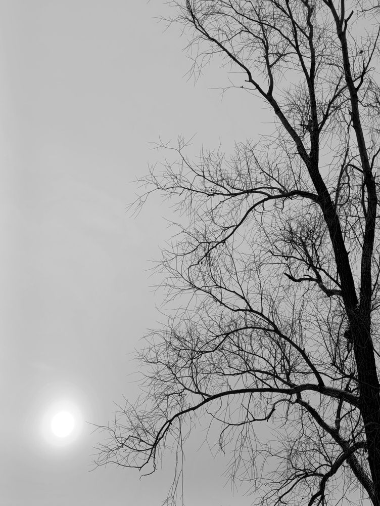 Photograph by Людмила Прибылова