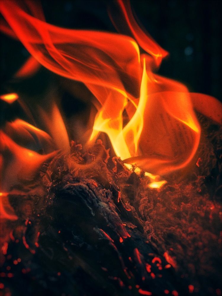 Фотография автора Дарья Викторова