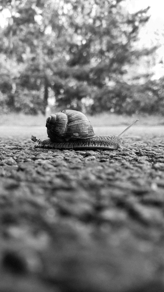 Photograph by Анастасия Черкасова