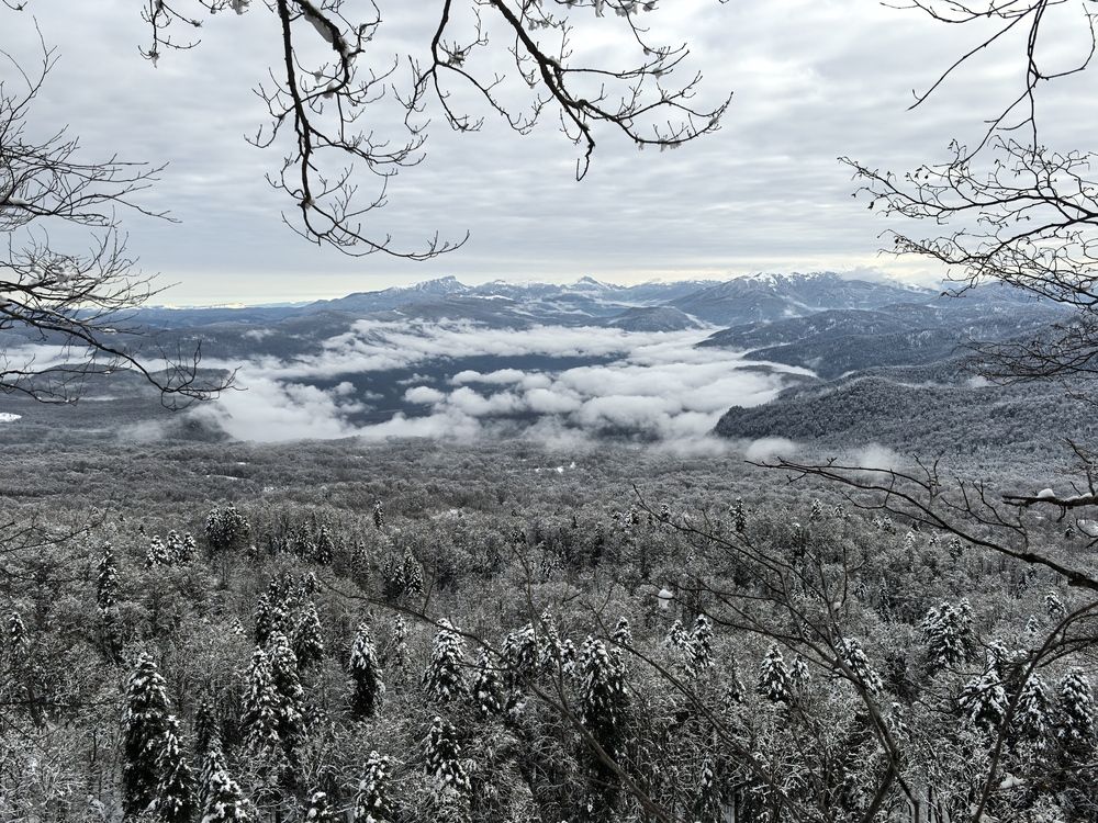 Photograph by Елизавета Зыкова