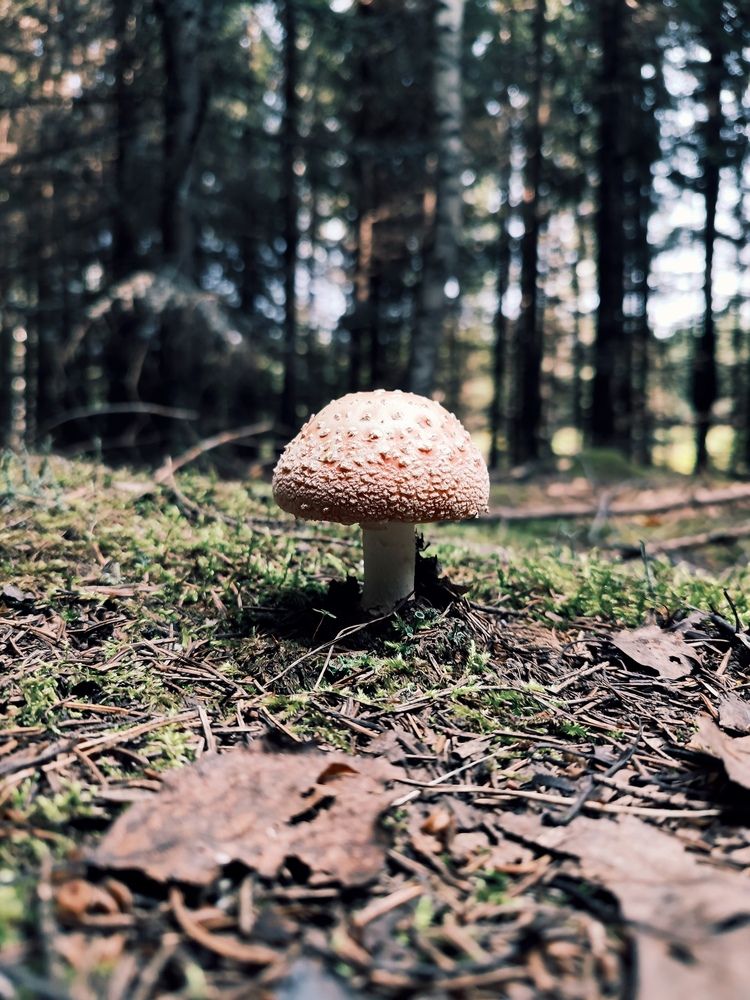 Photograph by Алексей Ларин