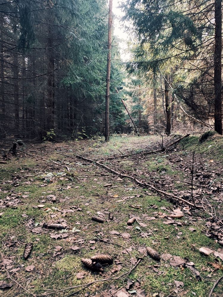 Photograph by Алексей Ларин