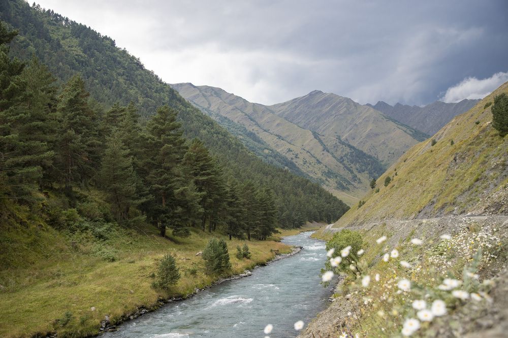 Photograph by Александр Парфенов