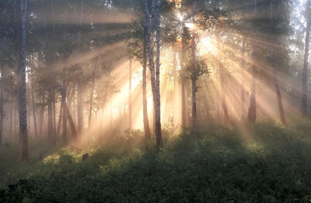 Photograph by Фомина Марина