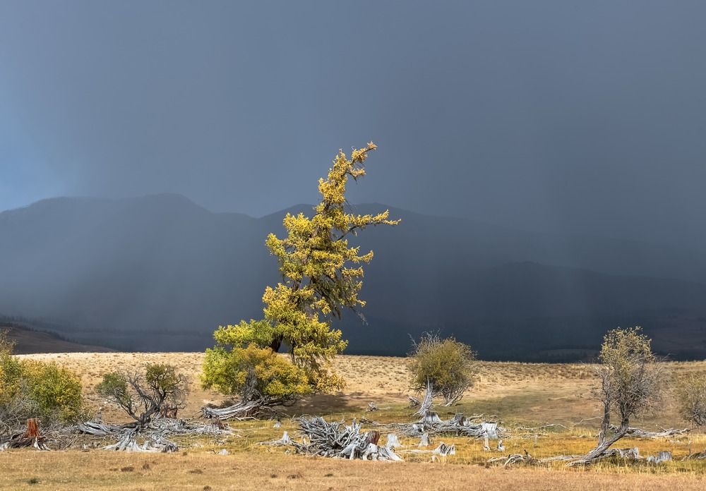 Photograph by Фомина Марина