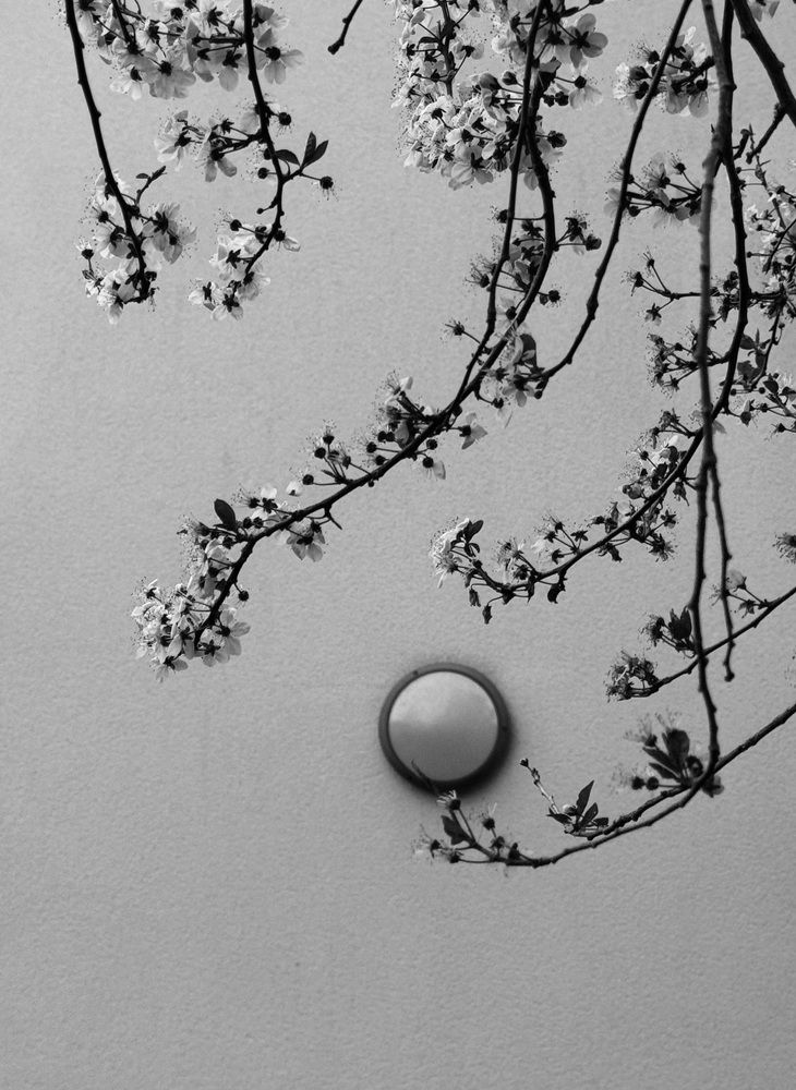 Photograph by Аlina BRAZIUL