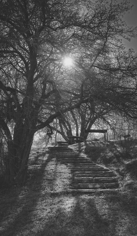 Photograph by Ольга Глущенко