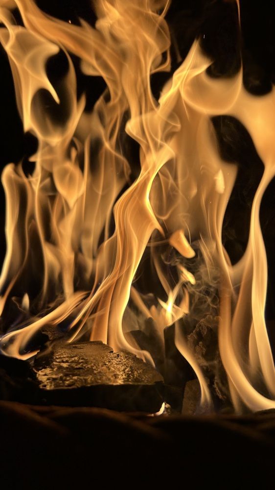 Photograph by Елена Гущина