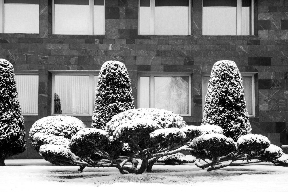 Photograph by Нестеренко Светлана