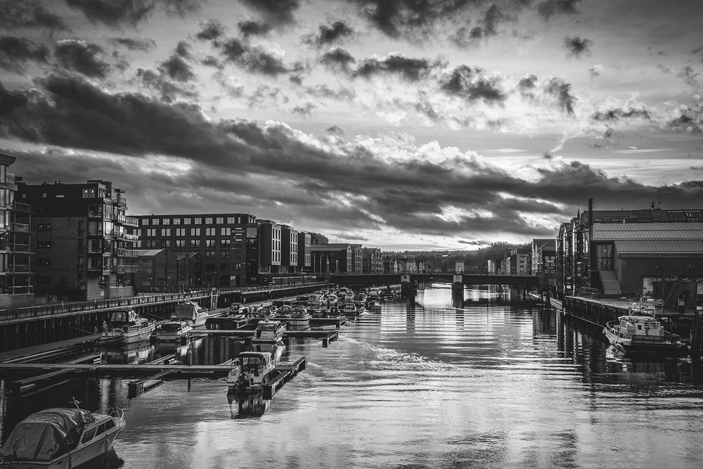 Photograph by Renee Johansson