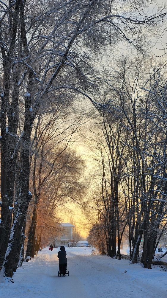 Photograph by Светлана Голик